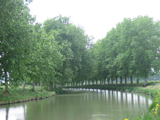Canal du Midi above Capestang