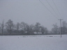 Snow 2007