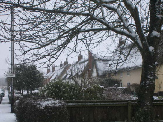 Snow 2007
